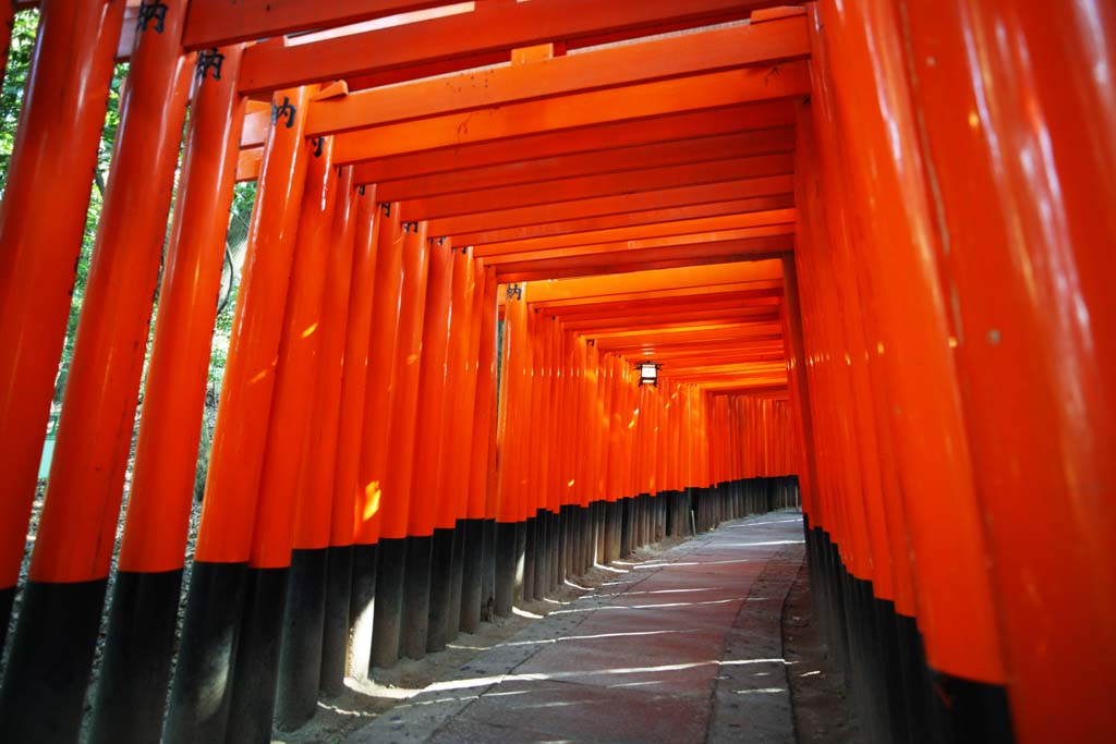 Fushimi Inari Taisha