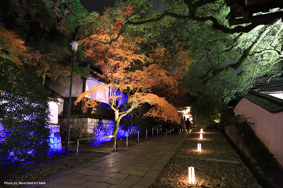 青蓮院門跡