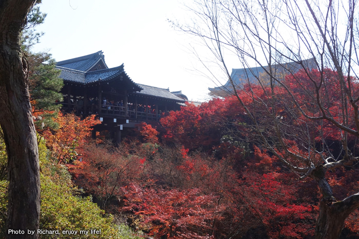 Tofukuji -temple