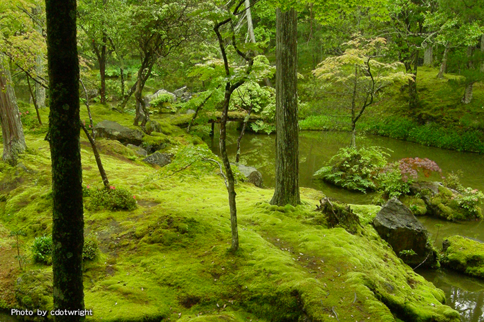 Saihouji-temple（Moss-temple）