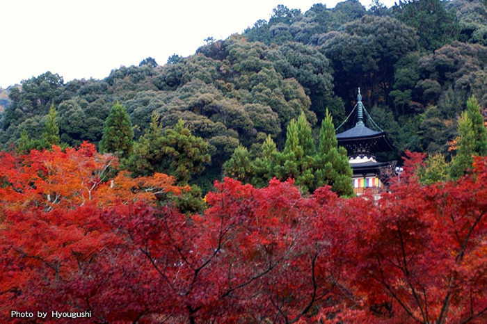 Eikando (Zenrinji-temple)