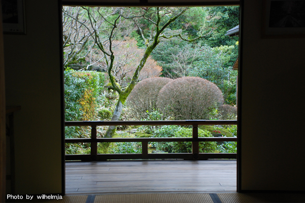 大徳寺>