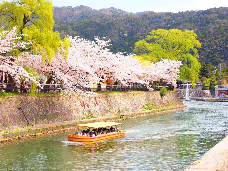 岡崎さくらわかば回廊十石舟めぐり