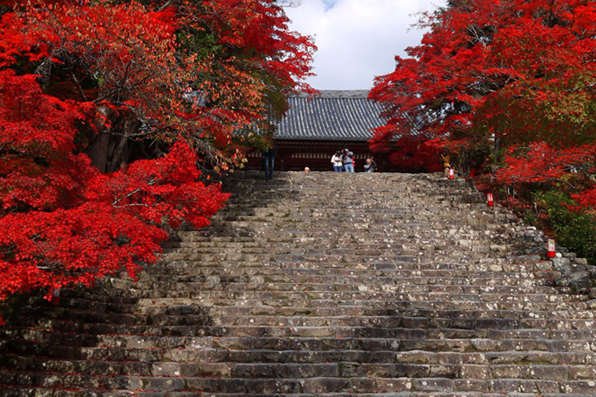 神護寺（高雄山神護寺）