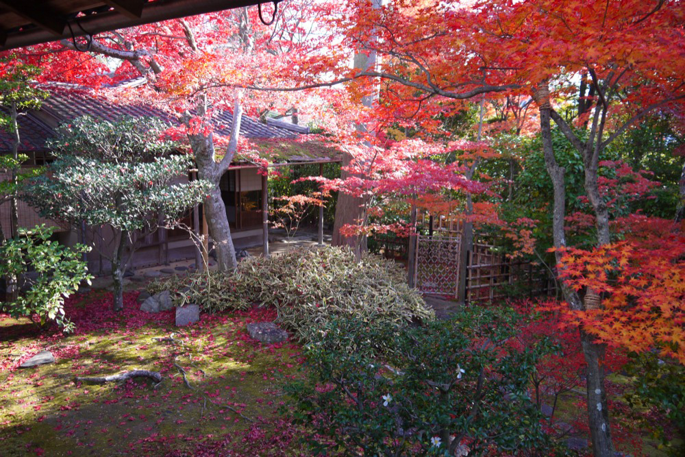 妙心寺・大法院